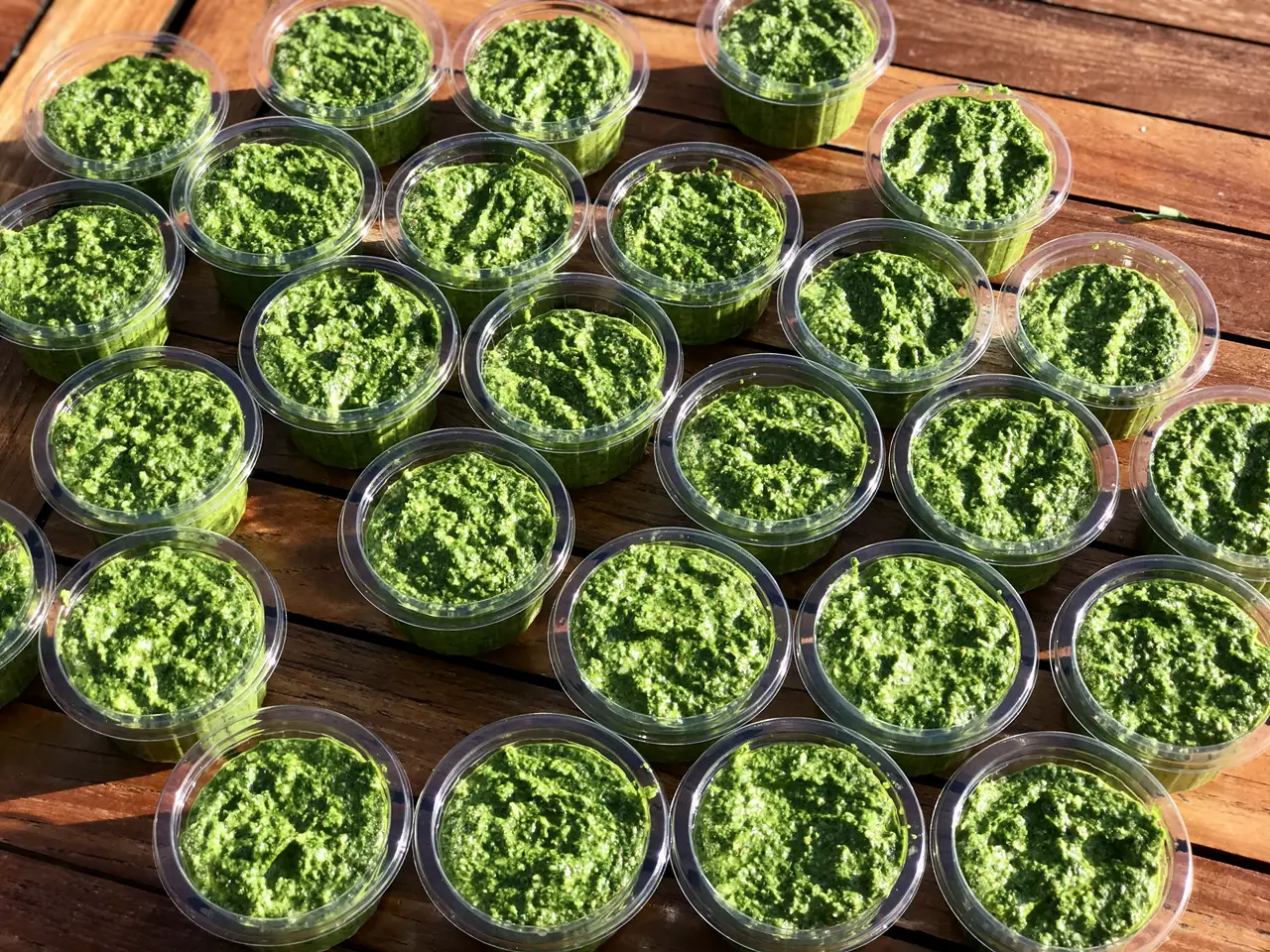 Ramsl%C3%B8kpesto_5097