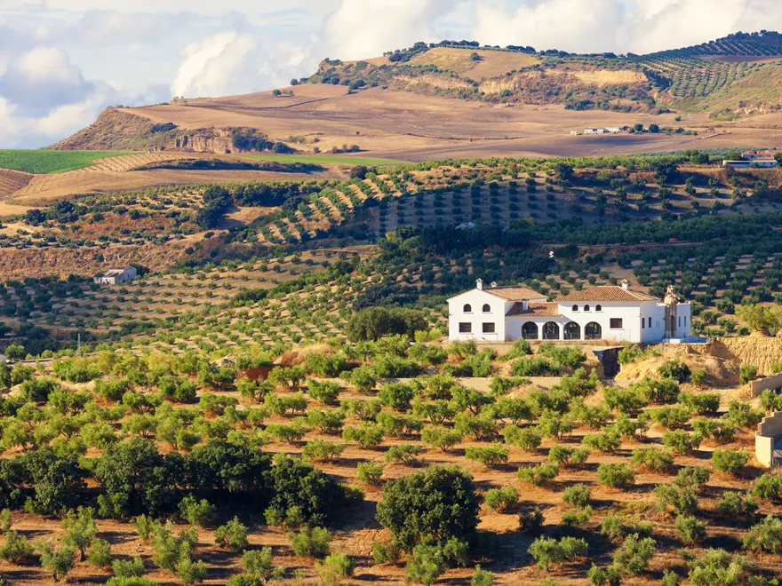 Bilde SEO beskrivelse 0/4