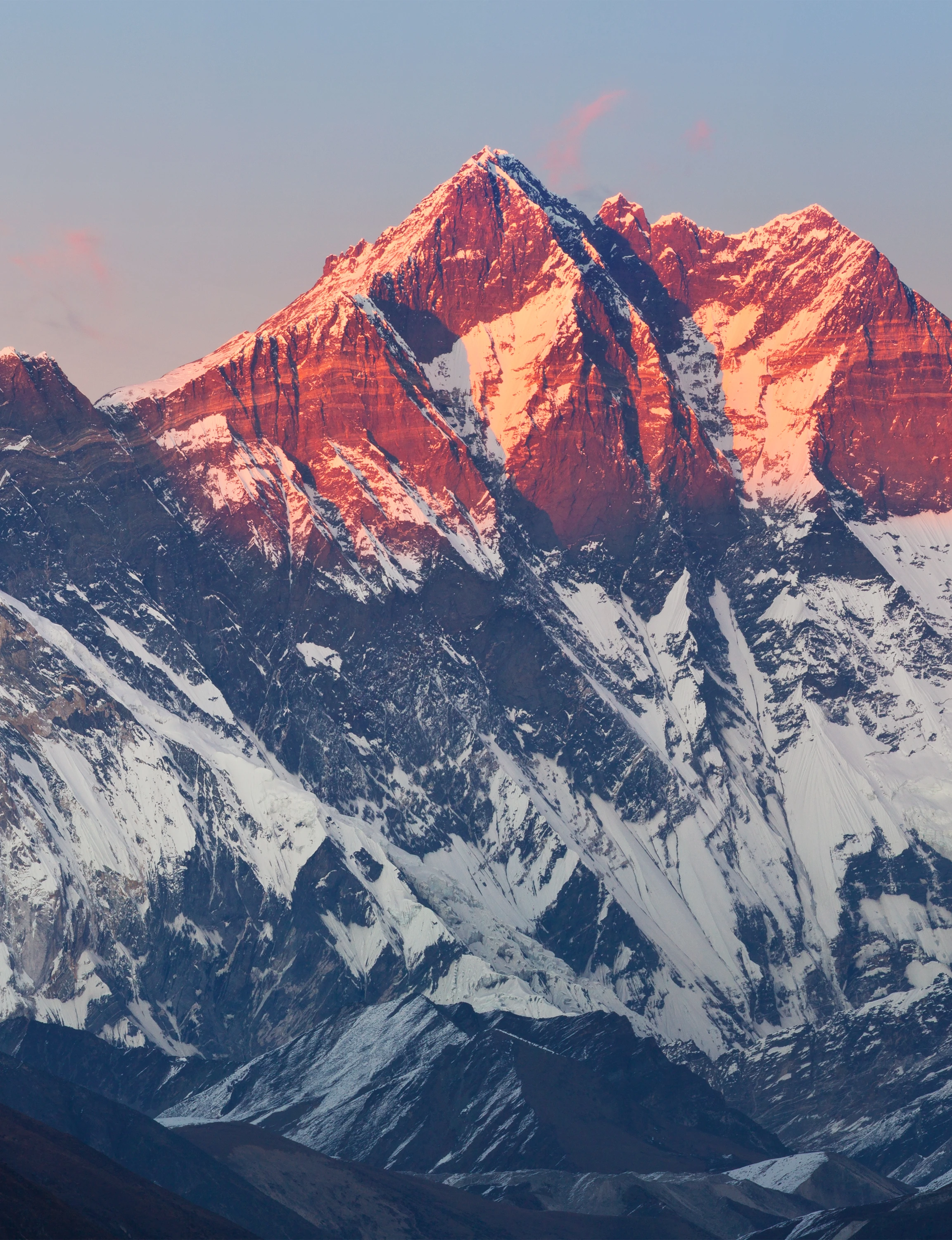 shutterstock_558193129